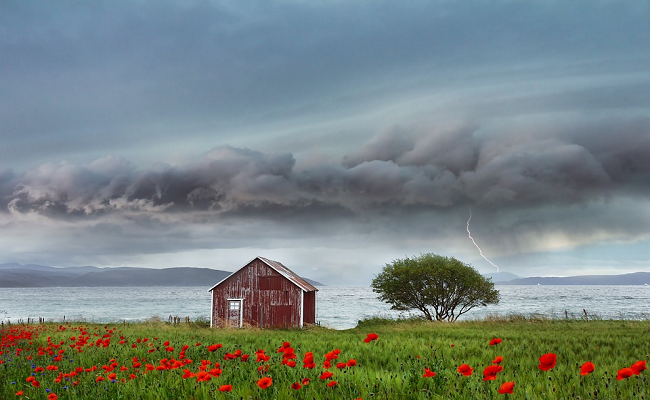 ఆకుపచ్చని సంతకం