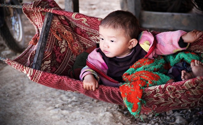 జోలపాటలో ఊయలలూగే అమ్మదనం!-2