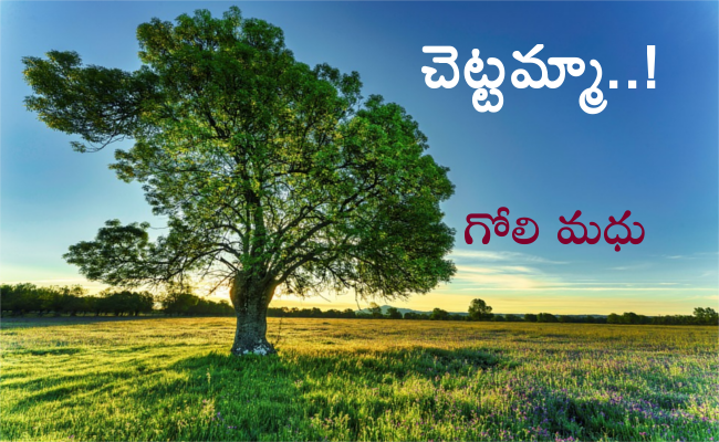 చెట్టమ్మా..!