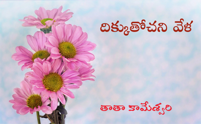 దిక్కుతోచని వేళ