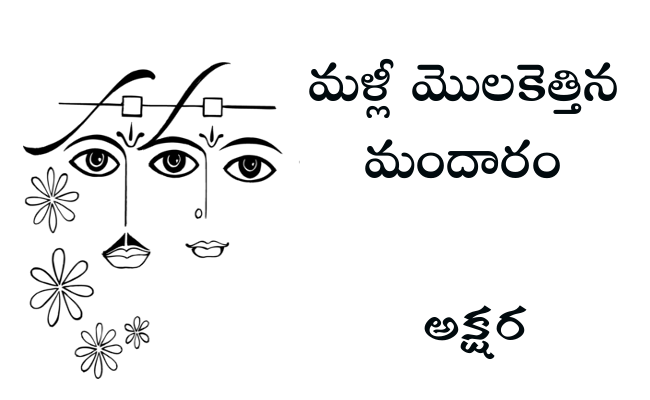 మళ్లీ మొలకెత్తిన మందారం