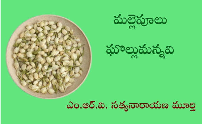 మల్లెపూలు ఘొల్లుమన్నవి