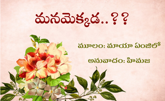 మనమెక్కడ..??