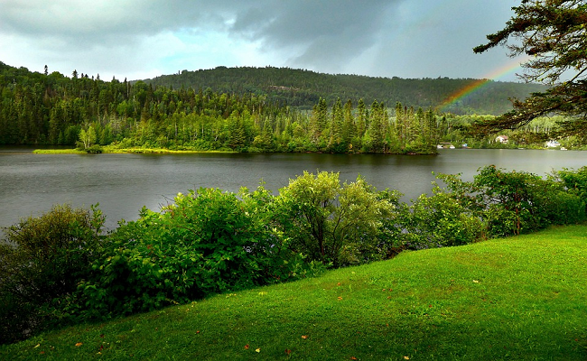 పచ్చదనం