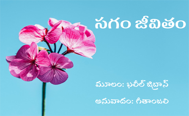 సగం జీవితం