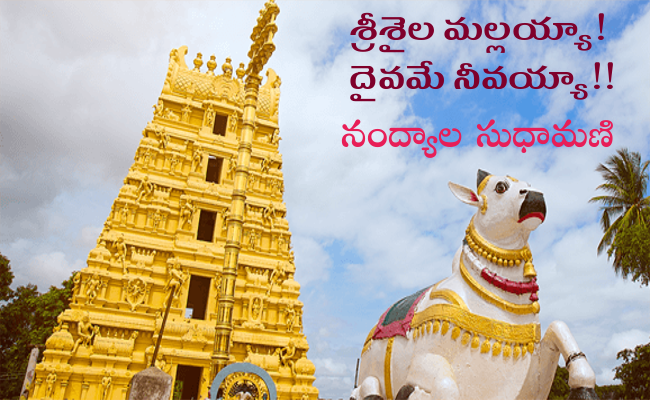 శ్రీశైల మల్లయ్యా! దైవమే నీవయ్యా!!