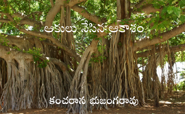 ఆకులు నేసిన ఆకాశం