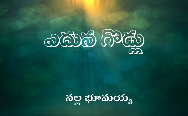 ఎదున గొడ్లు