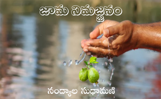 జామ నిమజ్జనం