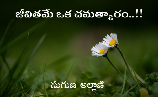 జీవితమే ఒక చమత్కారం..!!
