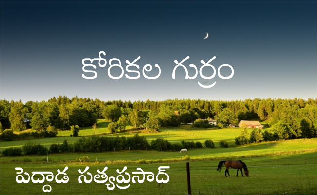 కోరికల గుర్రం