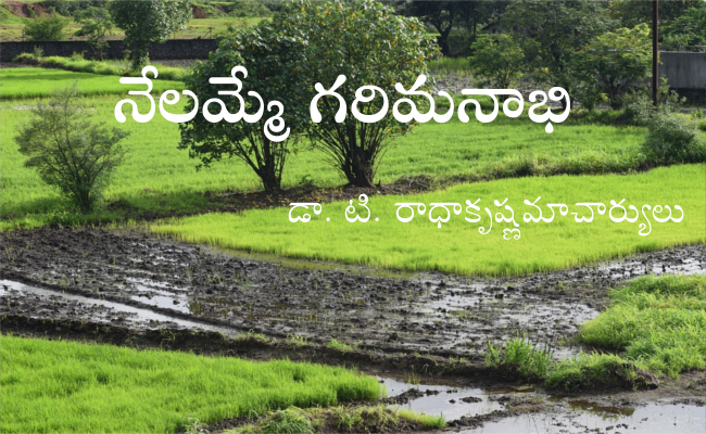 నేలమ్మే గరిమనాభి
