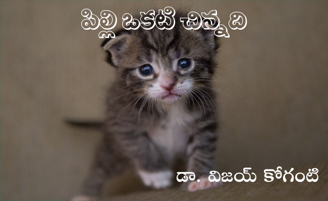 పిల్లి ఒకటి చిన్నది