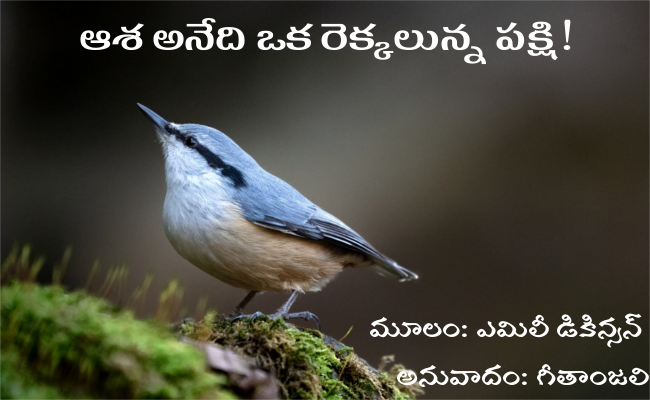 ఆశ అనేది ఒక రెక్కలున్న పక్షి!