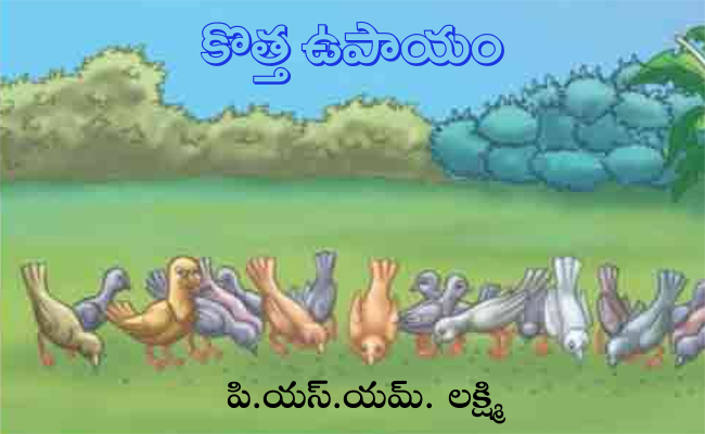 కొత్త ఉపాయం