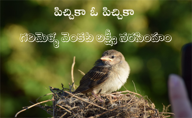 పిచ్చికా ఓ పిచ్చికా