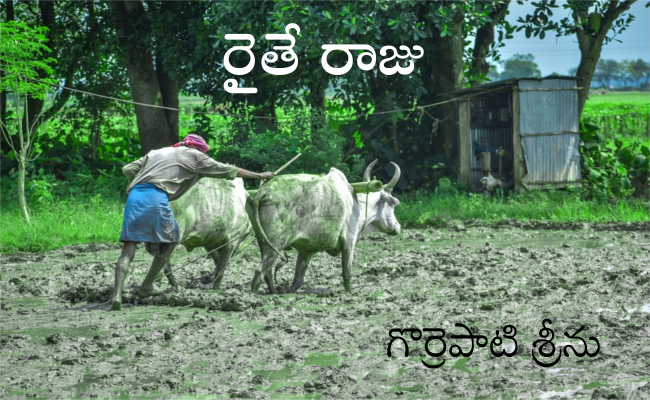 రైతే రాజు