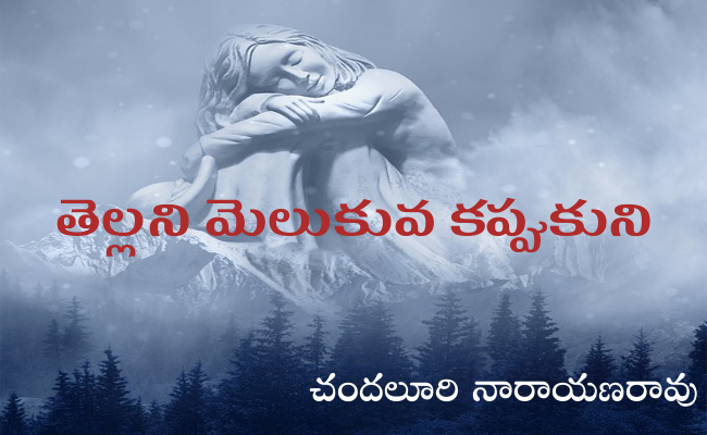 తెల్లని మెలుకువ కప్పుకుని