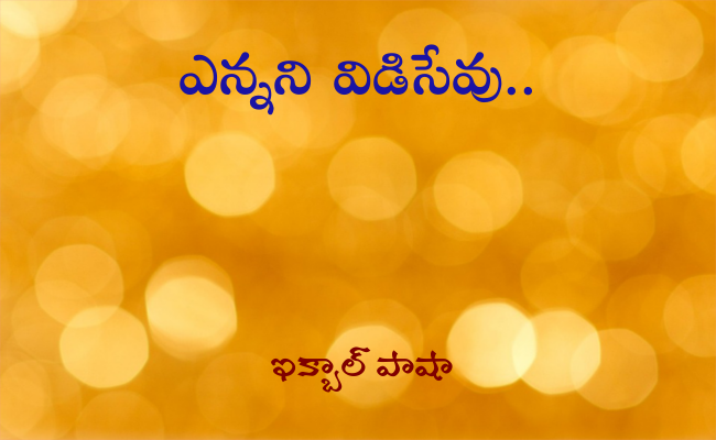 ఎన్నని విడిసేవు..