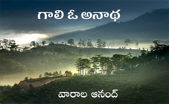 గాలి ఓ అనాథ