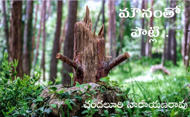 మౌనంతో పొట్లి..