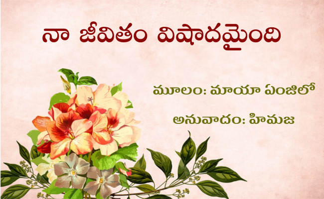 నా జీవితం విషాదమైంది