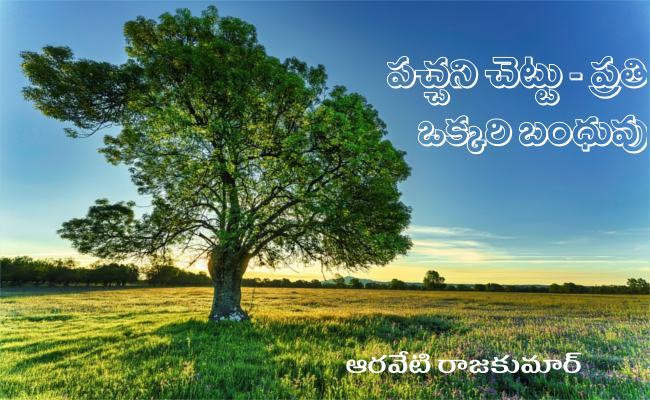 పచ్చని చెట్టు – ప్రతి ఒక్కరి బంధువు