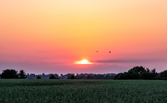 తందనాలు-14