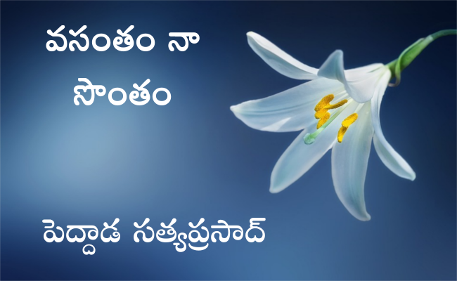 వసంతం నా సొంతం