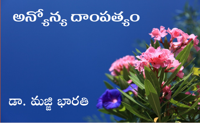 అన్యోన్య దాంపత్యం