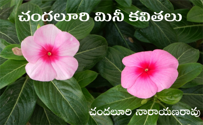 చందలూరి మినీ కవితలు