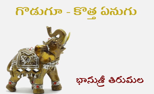 గొడుగూ – కొత్త ఏనుగు