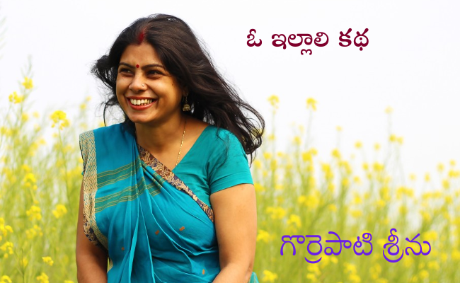 ఓ ఇల్లాలి కథ