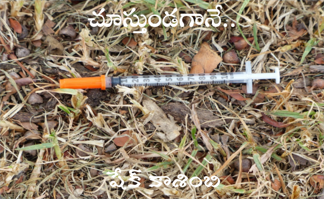 చూస్తుండగానే..