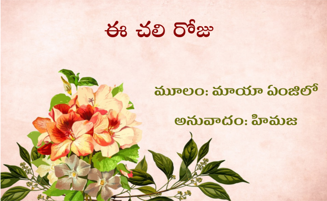 ఈ చలి రోజు