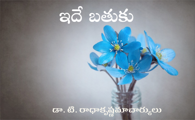 ఇదే బతుకు