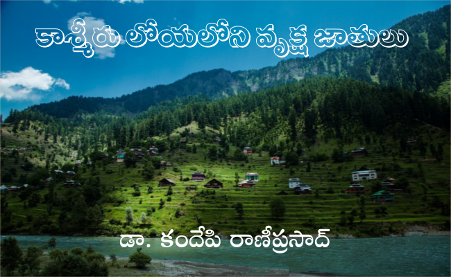 కాశ్మీరు లోయలోని వృక్ష జాతులు