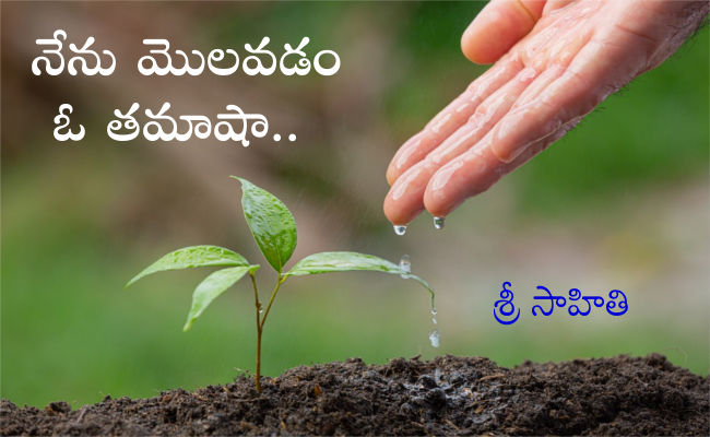 నేను మొలవడం ఓ తమాషా..