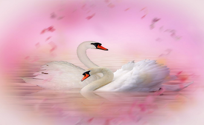 తందనాలు-21