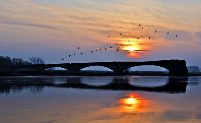 తందనాలు-22