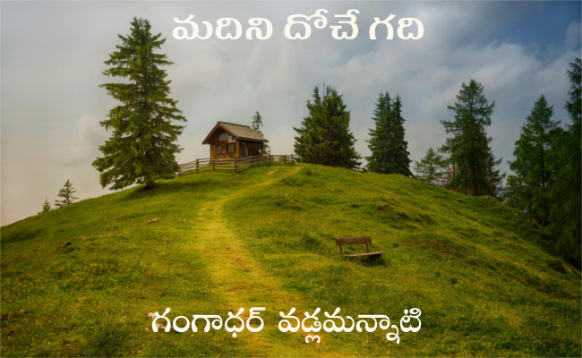 మదిని దోచే గది