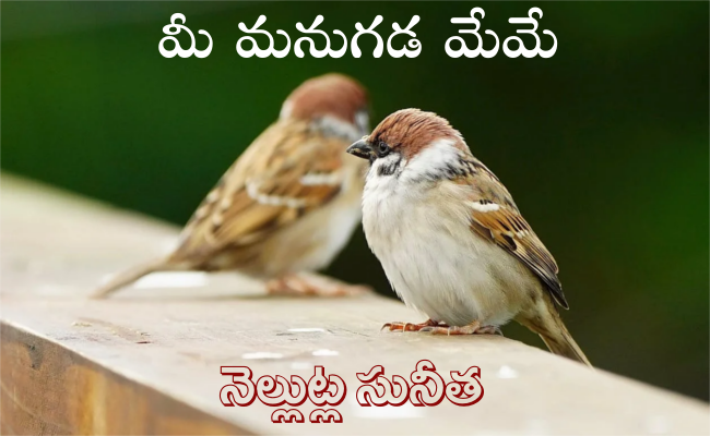 మీ మనుగడ మేమే