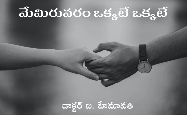 మేమిరువరం ఒక్కటే