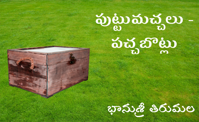 పుట్టుమచ్చలు – పచ్చబొట్లు