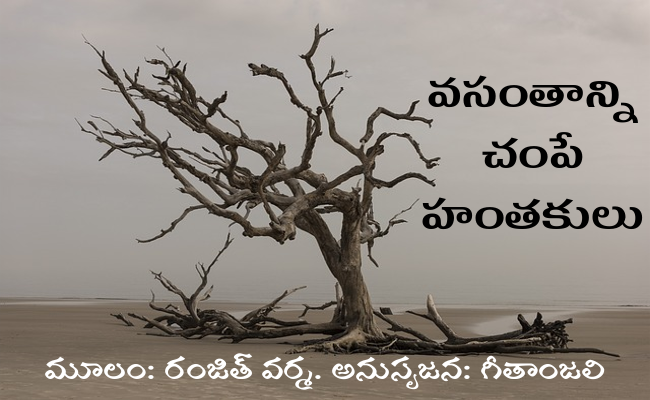 వసంతాన్ని చంపే హంతకులు