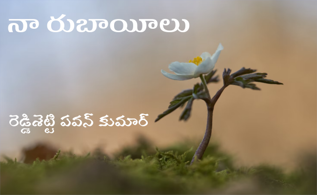 నా రుబాయీలు-17