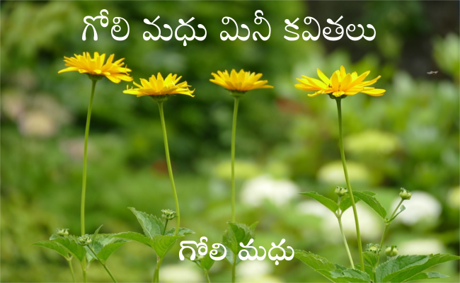 గోలి మధు మినీ కవితలు-27