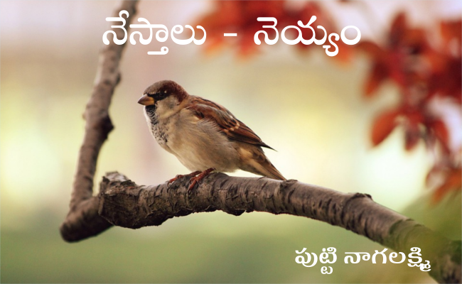 నేస్తాలు – నెయ్యం