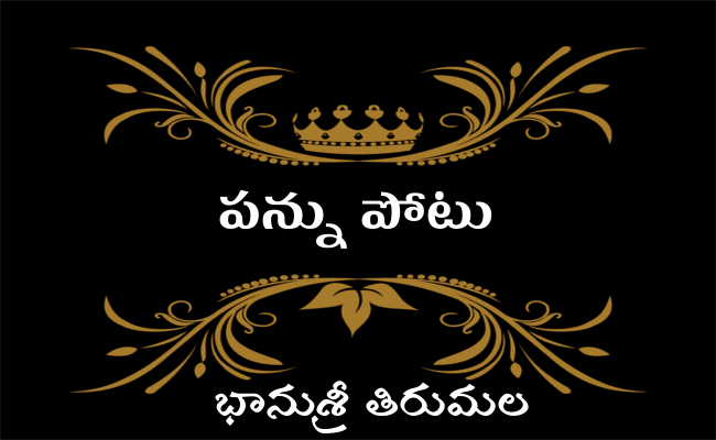 పన్ను పోటు