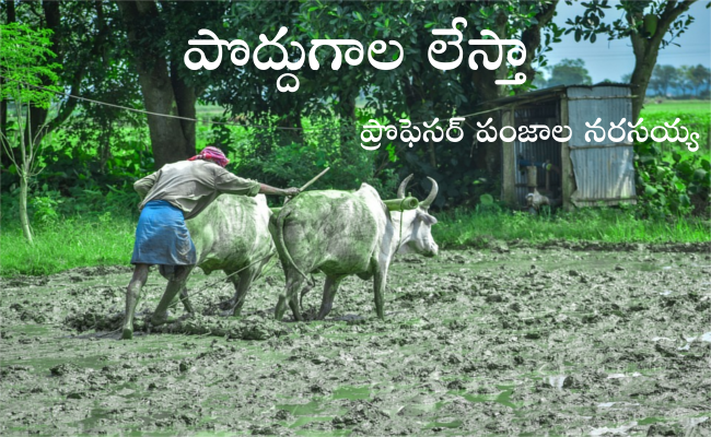 పొద్దుగాల లేస్తా